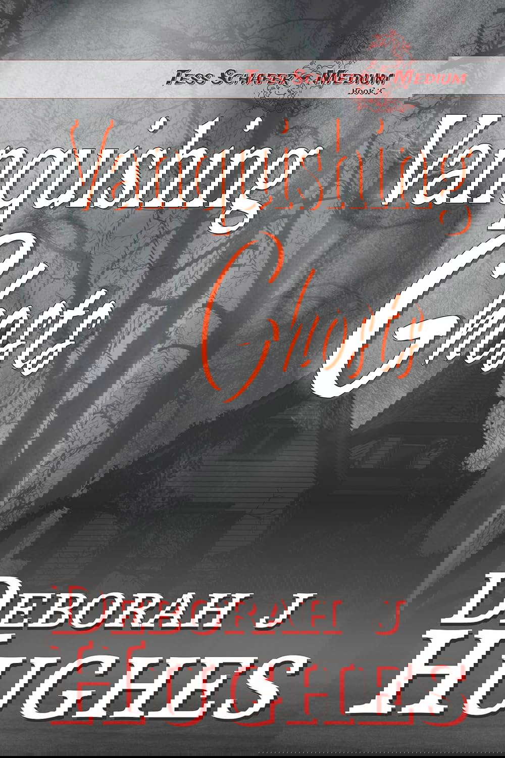 Vanquishing Ghosts (Tess Schafer-Medium Book 3) poster