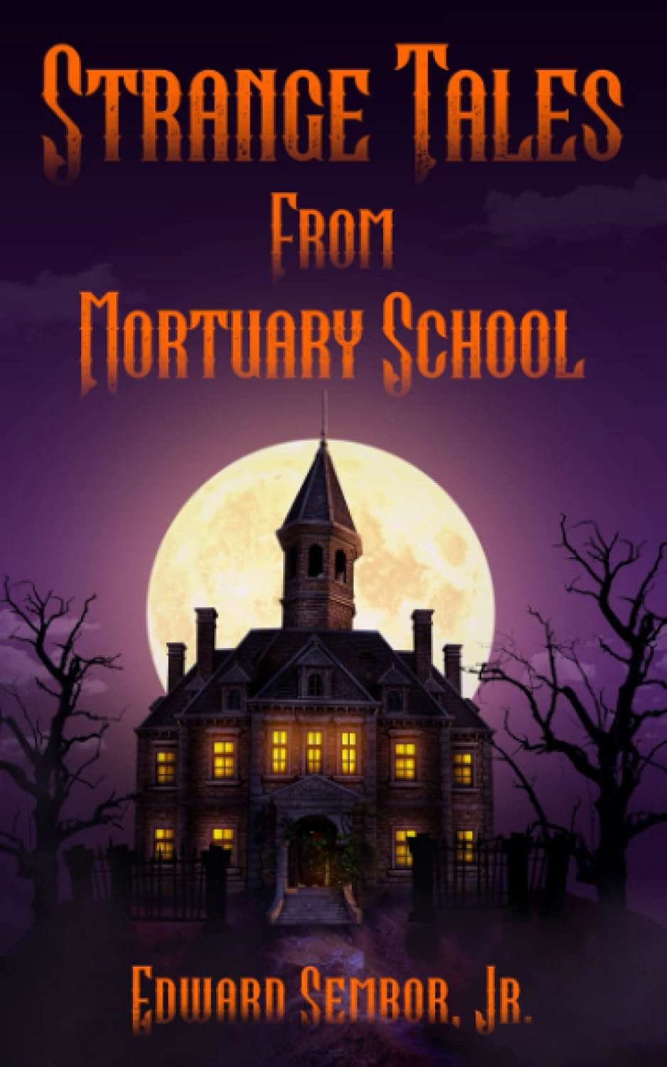 Strange Tales from Mortuary School poster