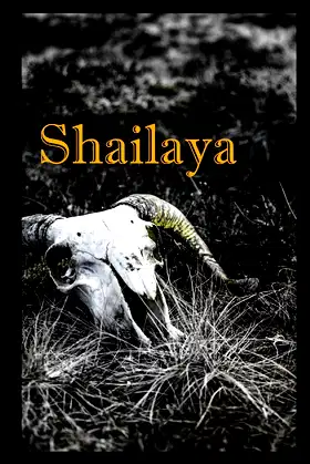 Shailaya: Special Edition poster