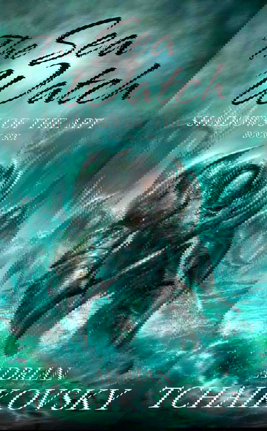 The Sea Watch poster