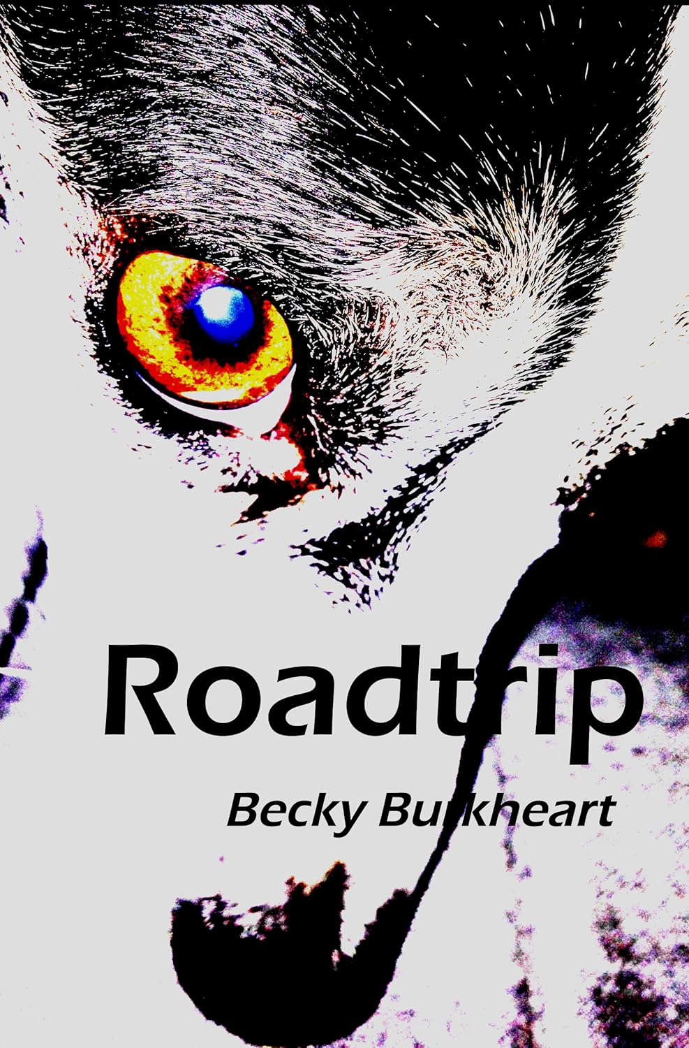 Roadtrip poster