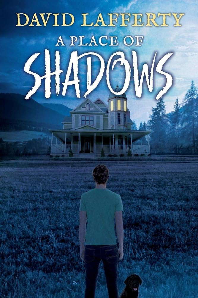 A Place of Shadows (1) poster