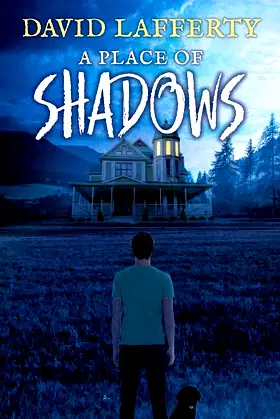 A Place of Shadows (1) poster