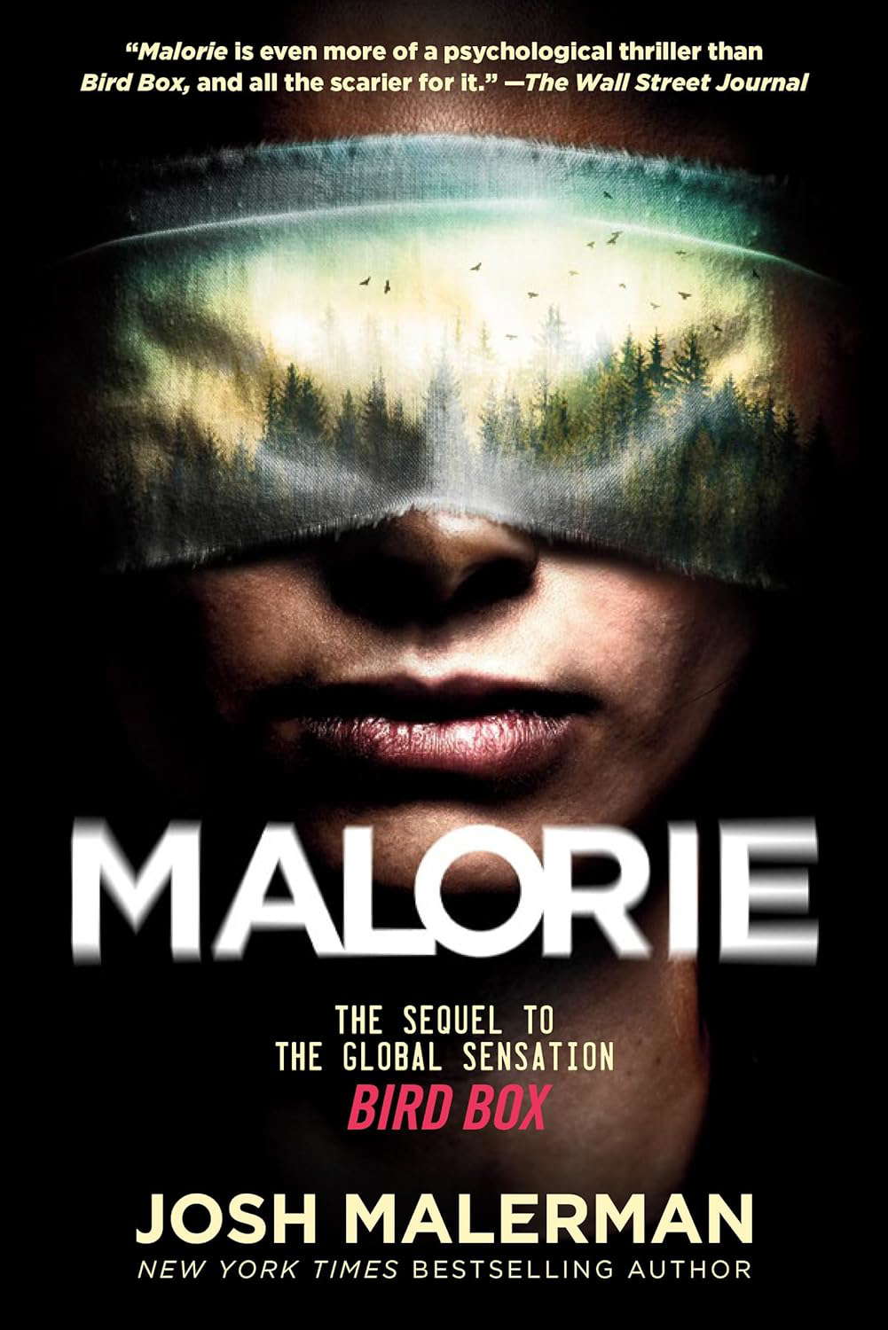 Malorie: The Sequel to the Global Sensation Bird Box poster