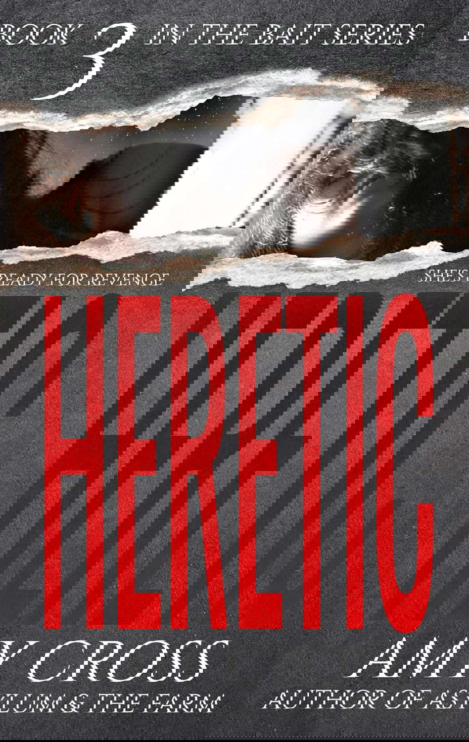 Heretic (Bait Book 3) poster