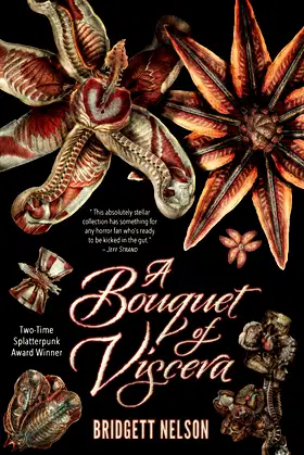 A Bouquet of Viscera poster