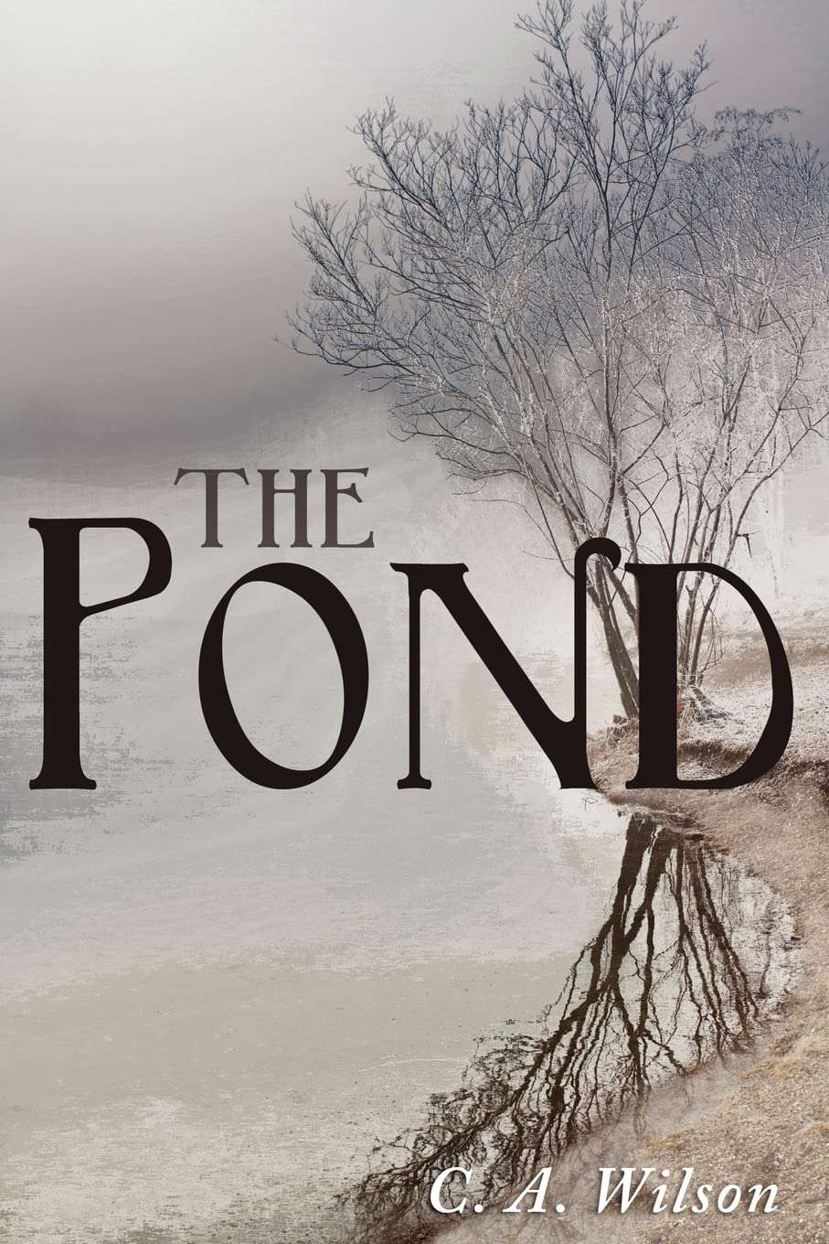 The Pond poster