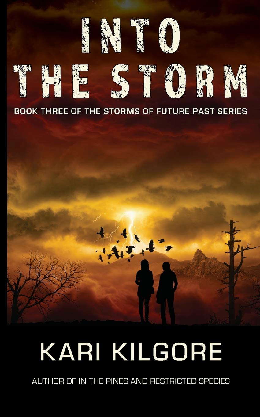 Into the Storm (The Storms of Future Past Series) poster