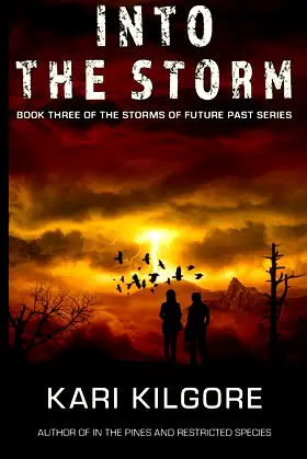 Into the Storm (The Storms of Future Past Series) poster