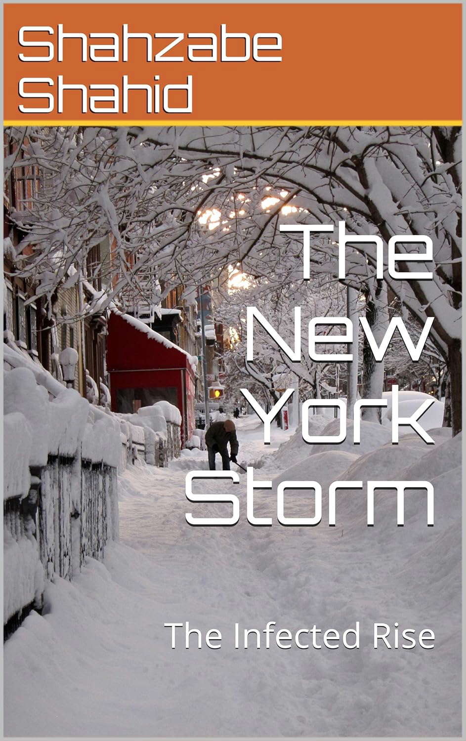 The New York Storm: The Infected Rise poster