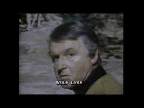 Poster for Wolf Lake