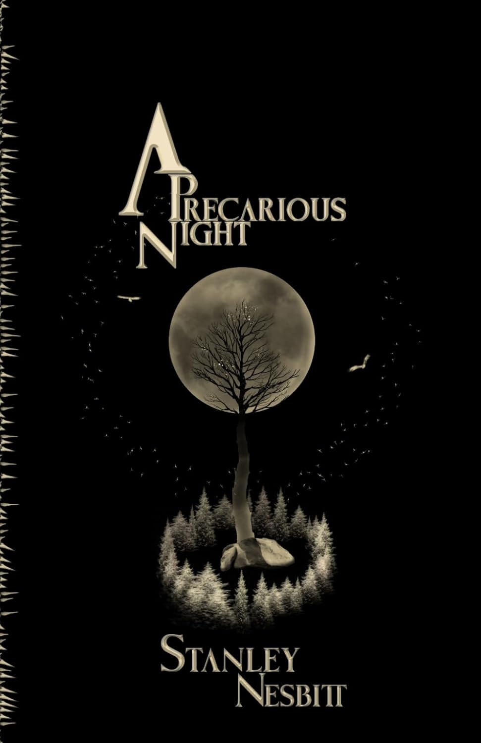A Precarious Night poster