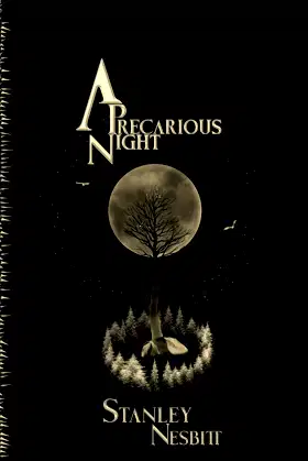 A Precarious Night poster