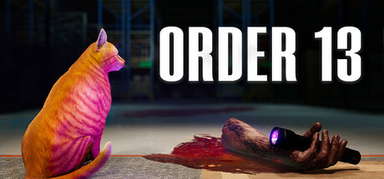ORDER 13 capsule