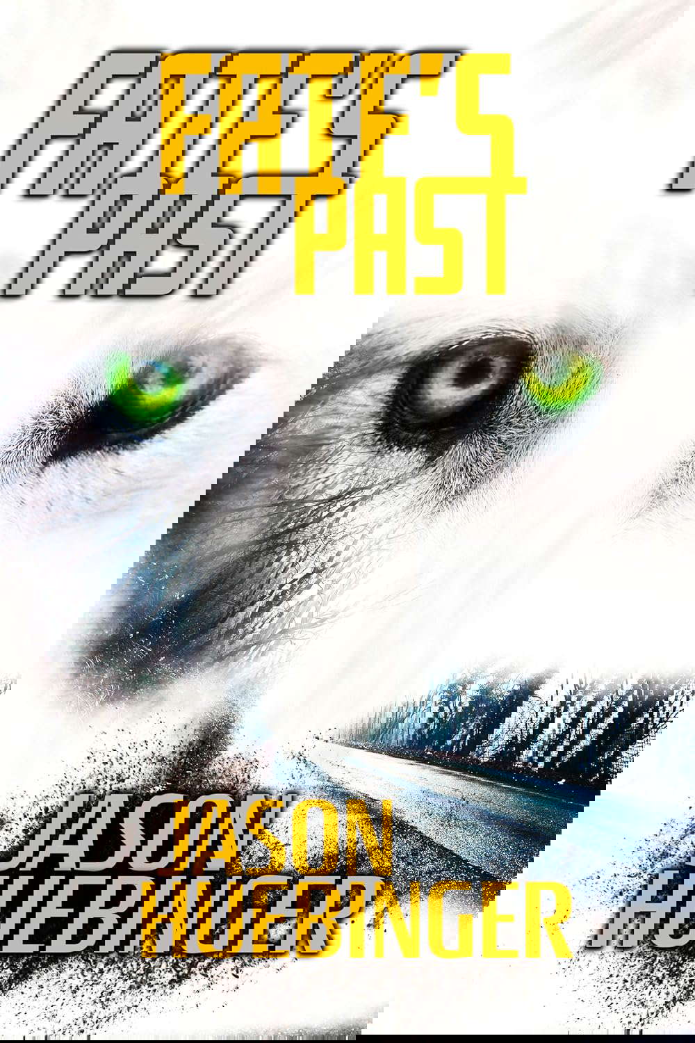 FATE'S PAST poster