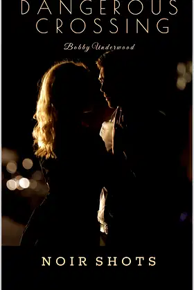 Dangerous Crossing: Noir Shots poster