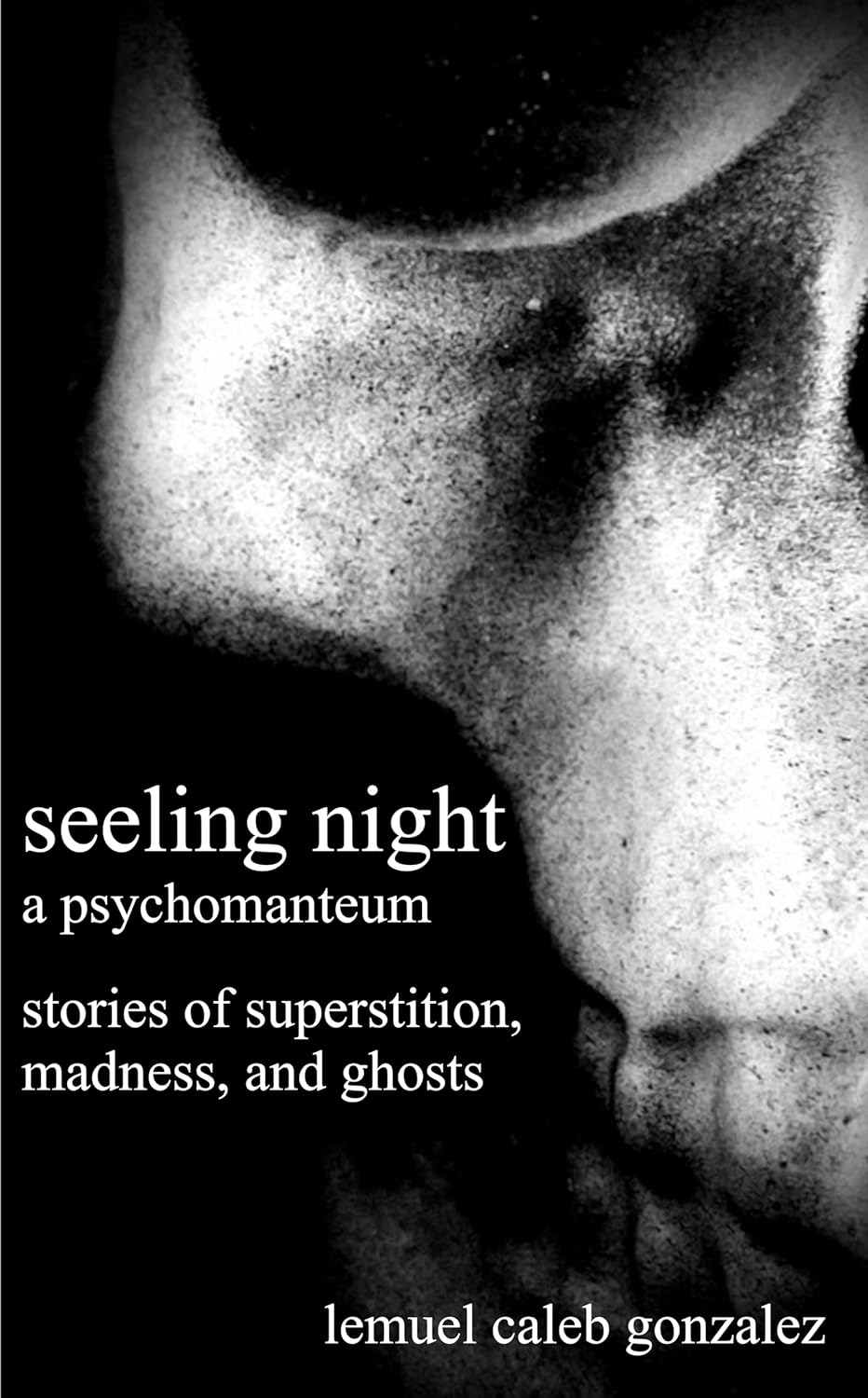 Seeling Night: A Psychomanteum poster