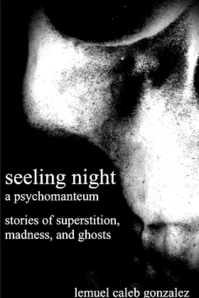 Seeling Night: A Psychomanteum poster