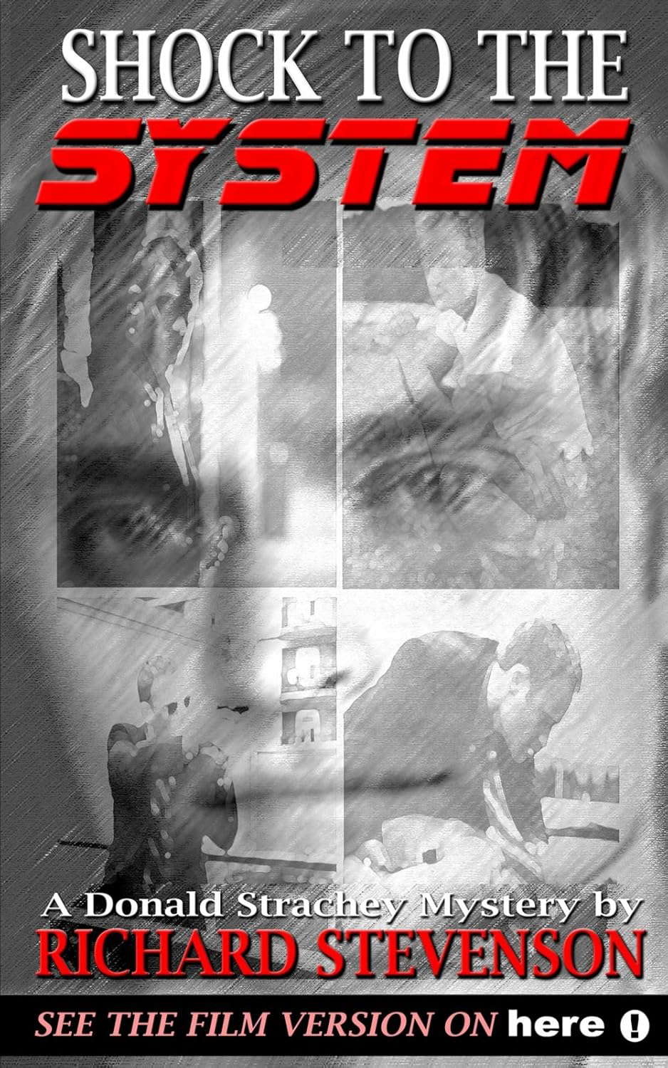 Shock to the System (Donald Strachey Mystery) poster