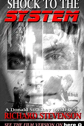 Shock to the System (Donald Strachey Mystery) poster