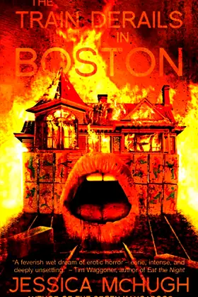 The Train Derails in Boston poster