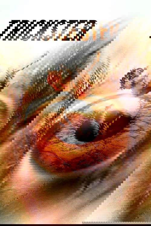 Trickster poster