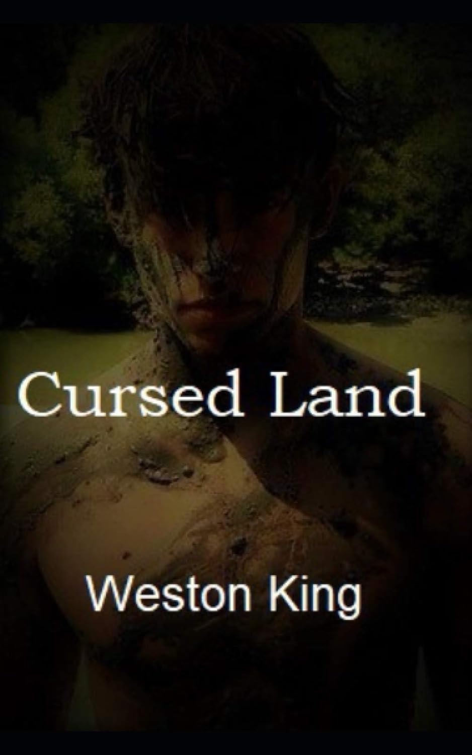 Cursed Land poster