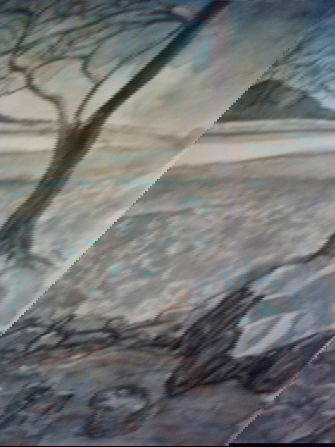 An Irish Ghost Story ('' 'Twas a Misty Eve' Celtic Horror Stories Book 2) poster