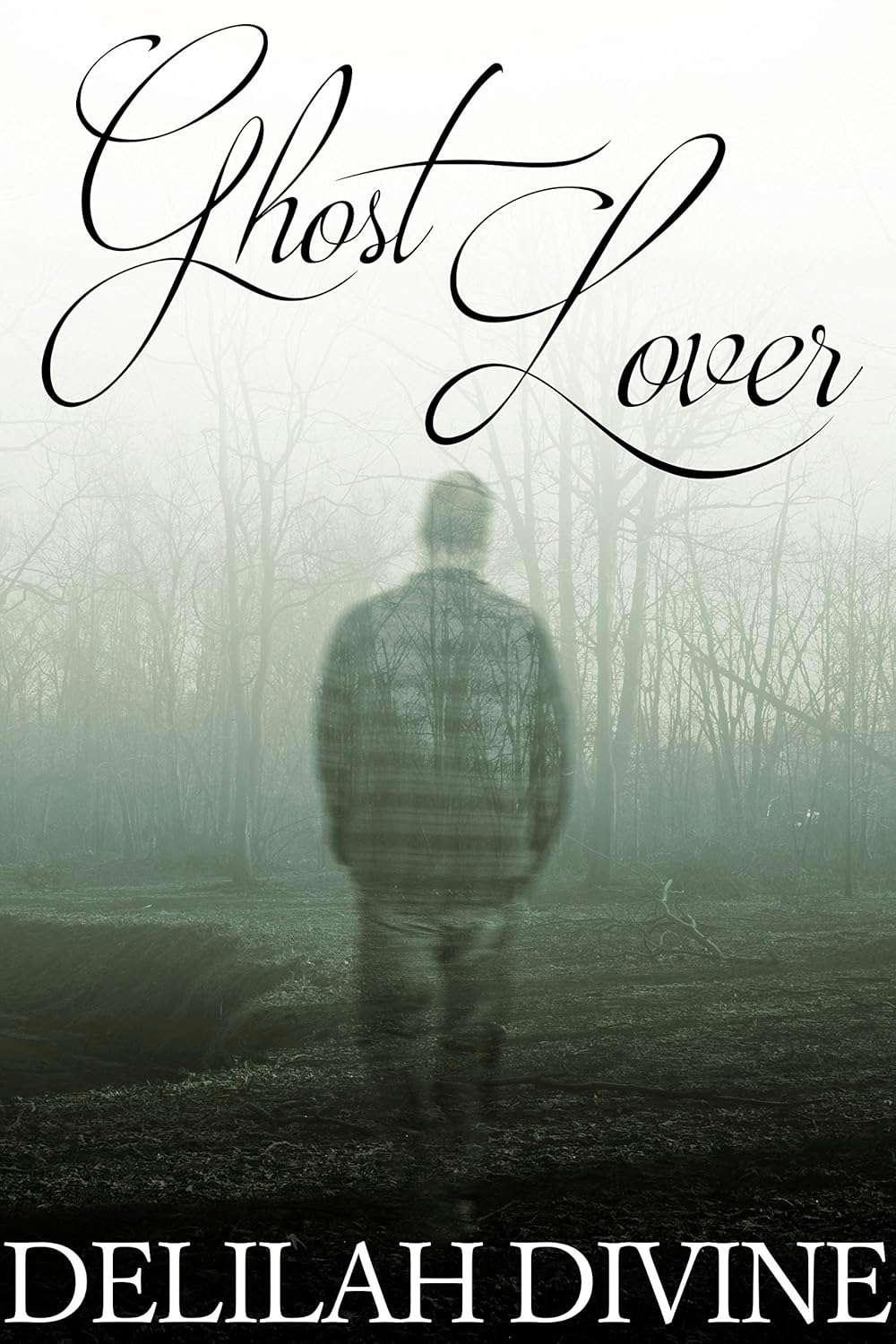 Ghost Lover poster