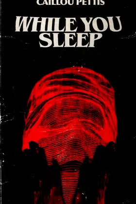 While You Sleep (Newryst) poster