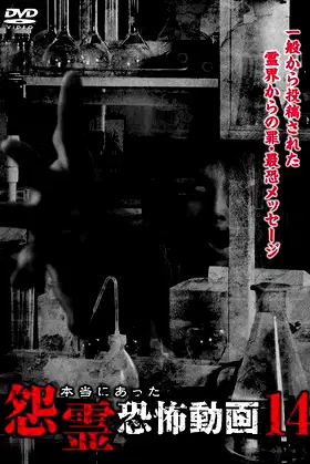 Real Vengeful Ghost Horror Video 14 poster