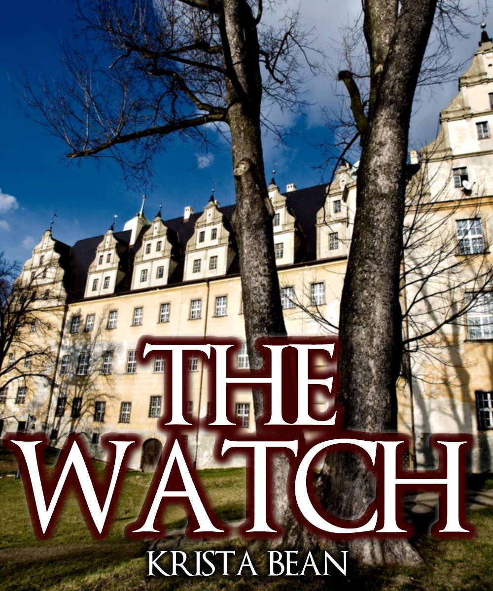 The Watch poster