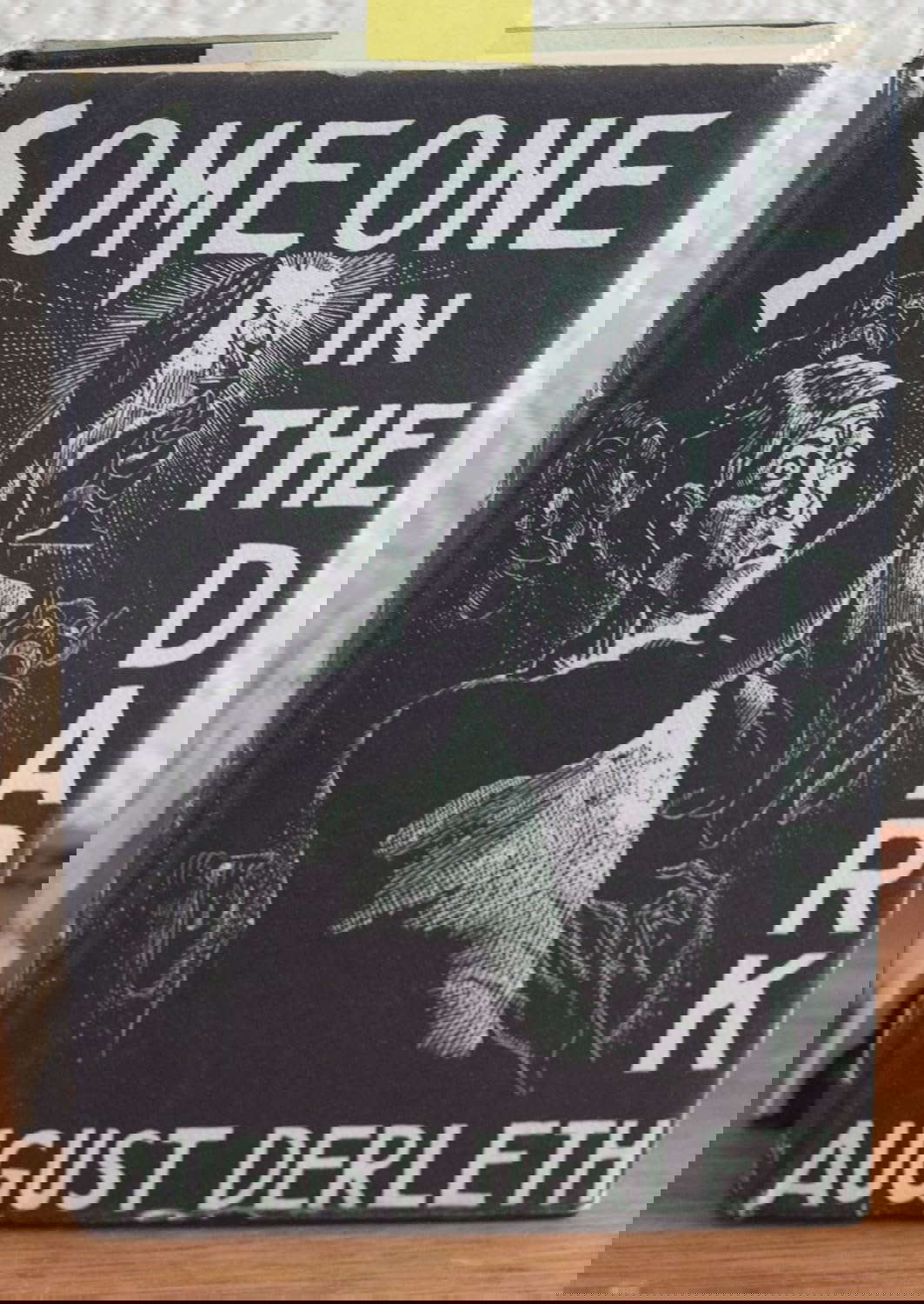 Someone in the Dark poster
