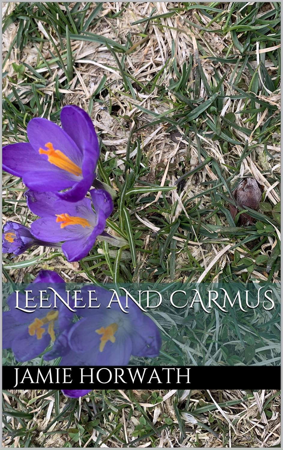 Leenee and Carmus (Prophet of Armageddon-"quartet" Book 1) poster