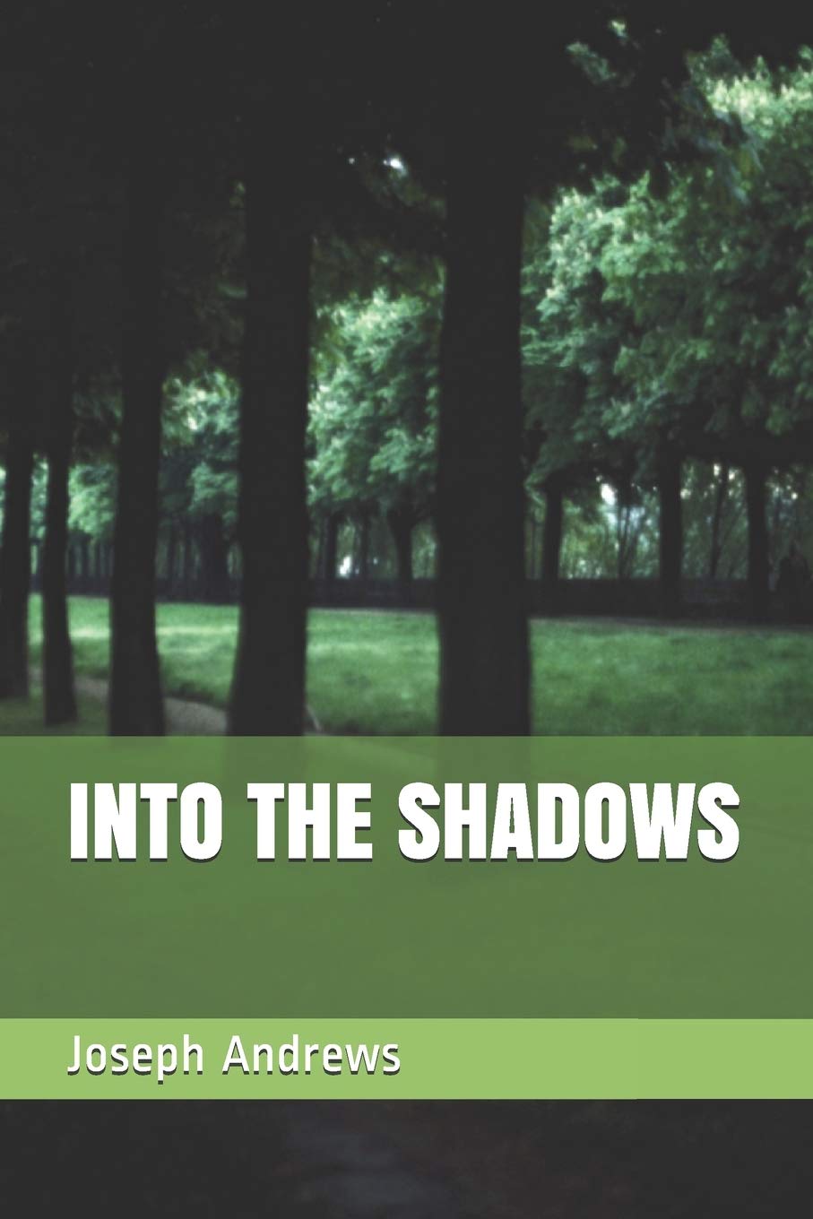 INTO THE SHADOWS (THE TRIALS) poster
