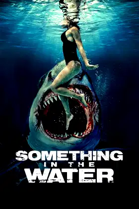 Something in the Water poster