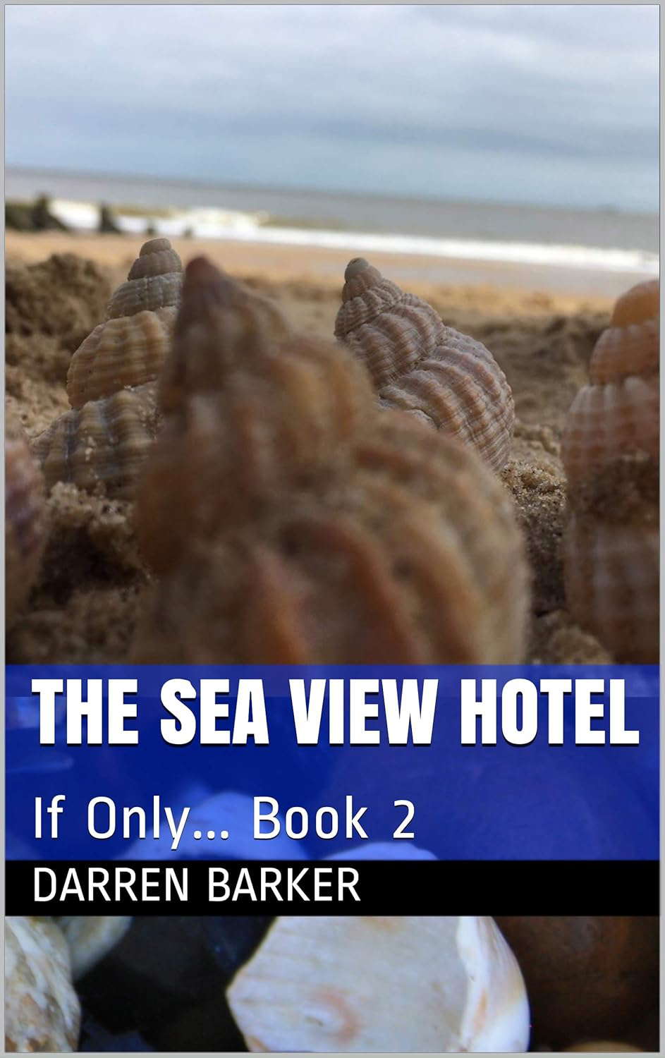 The Sea View Hotel: If Only... Book 2 poster