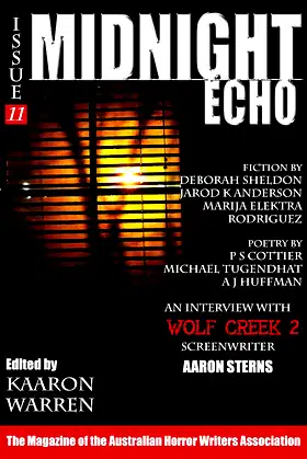 Midnight Echo Issue 11 (Midnight Echo magazine) poster