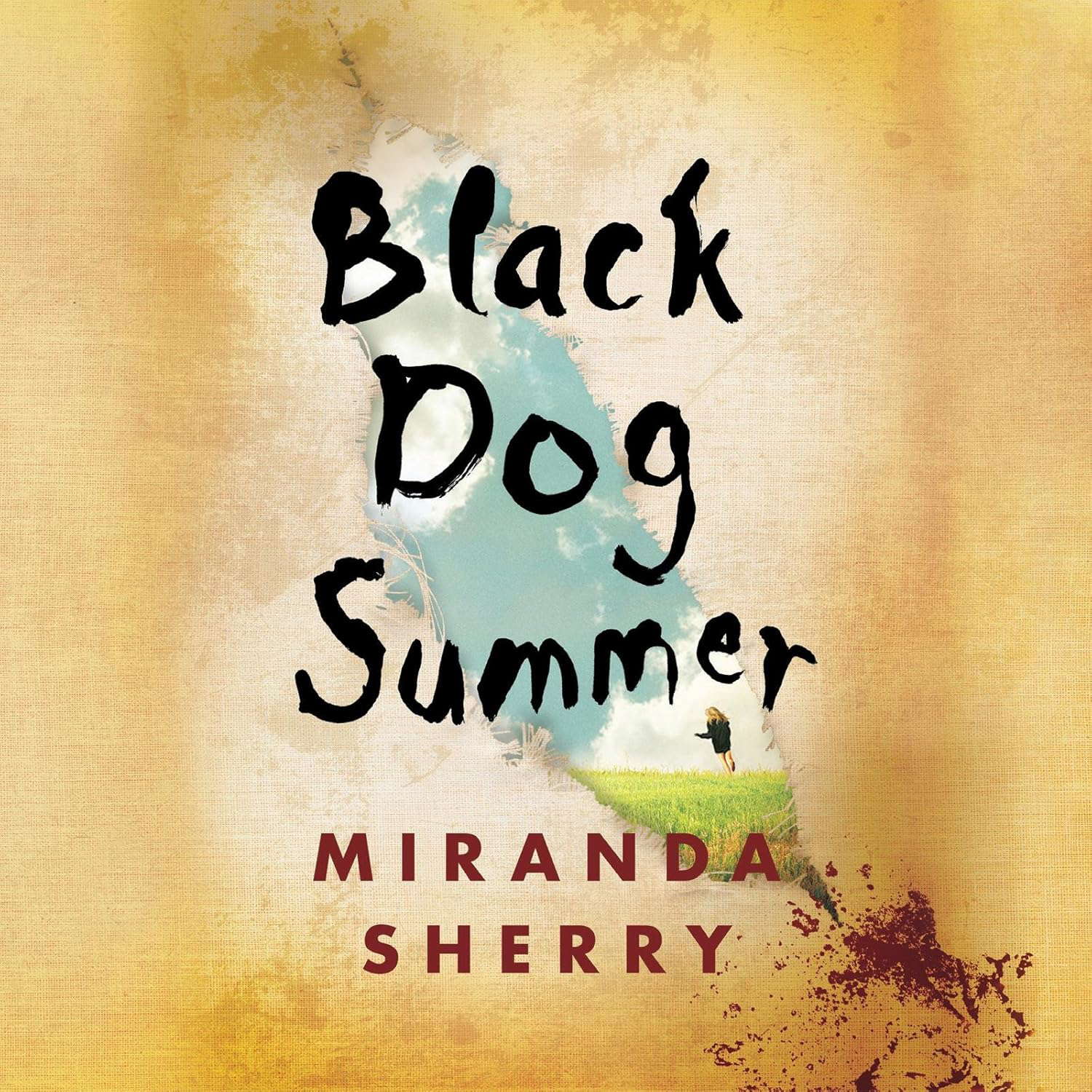 Black Dog Summer poster