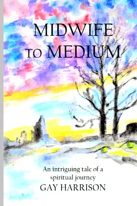 Midwife to Medium poster