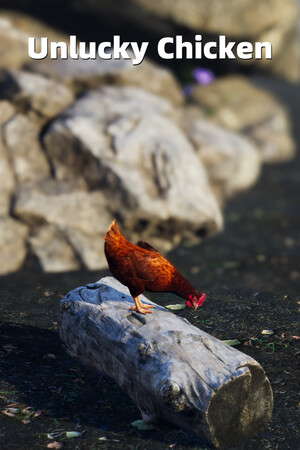Unlucky Chicken poster