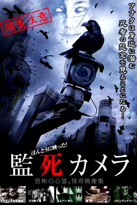 Paranormal Surveillance Camera poster