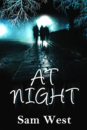 At Night: An Extreme Horror Novel poster
