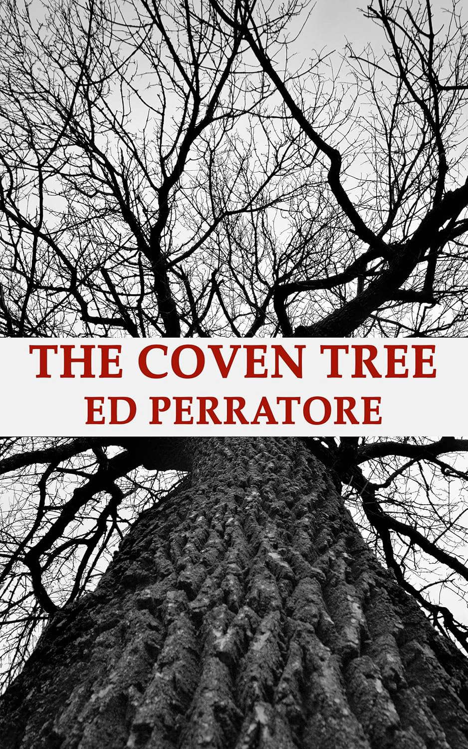 The Coven Tree poster