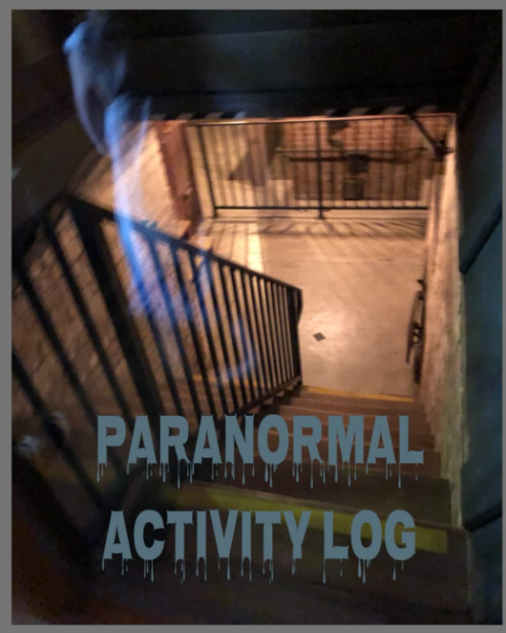 Paranormal Activity Log poster