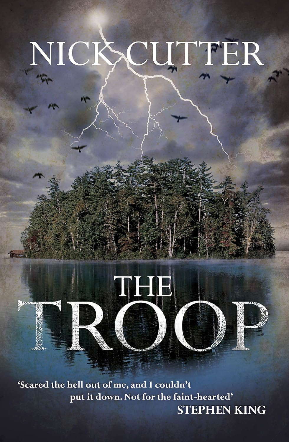 The Troop: Tiktok's favourite horror novel! poster