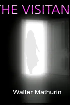 The Visitant poster