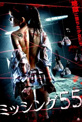 Missing 55 poster