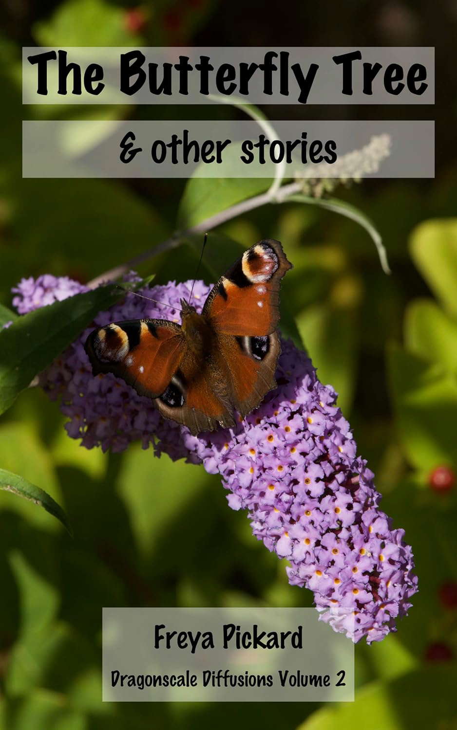 The Butterfly Tree & other stories poster