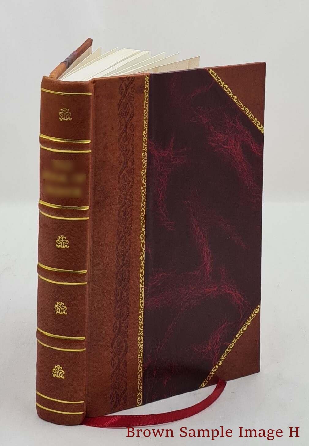 Sinking of the "Titanic," most appalling ocean horror 1912 [Leather Bound] poster